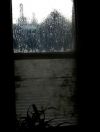 7. ročník fotosoutěže Můj svět - kategorie Život kolem nás - všechny fotografie